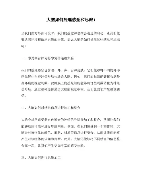 大脑如何处理感觉和思维？