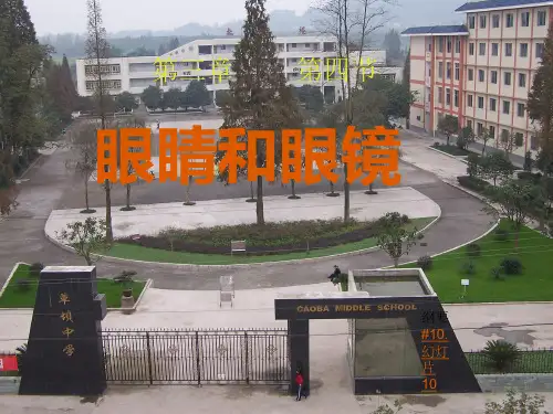 眼睛和眼镜1优秀课件