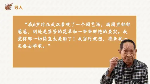 《喜看稻菽千重浪记首届国家科技奖获得者袁隆平》课件24张高中语文必修上册