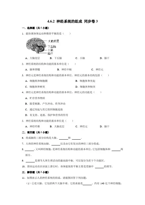 人教版生物七年级下册神经系统的组成