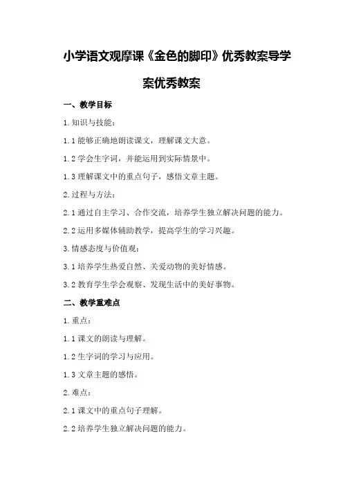 小学语文观摩课《金色的脚印》优秀教案导学案优秀教案