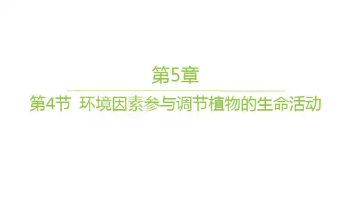 人教版高中生物学选择性必修1稳态与调节作业课件 第5章 第4节 环境因素参与调节植物的生命活动