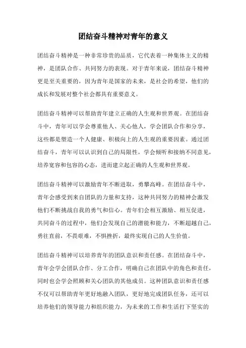 团结奋斗精神对青年的意义