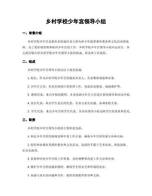 乡村学校少年宫领导小组