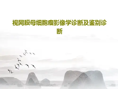 视网膜母细胞瘤影像学诊断及鉴别诊断41页PPT