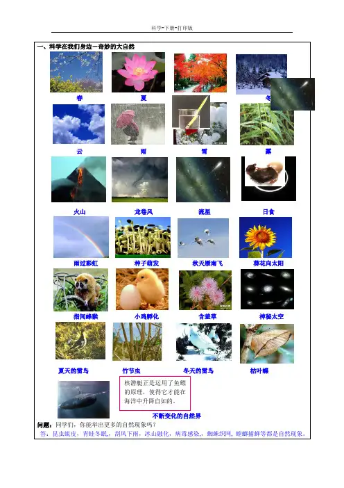 浙教版-科学-七年级上册-科学在我们身边 教案