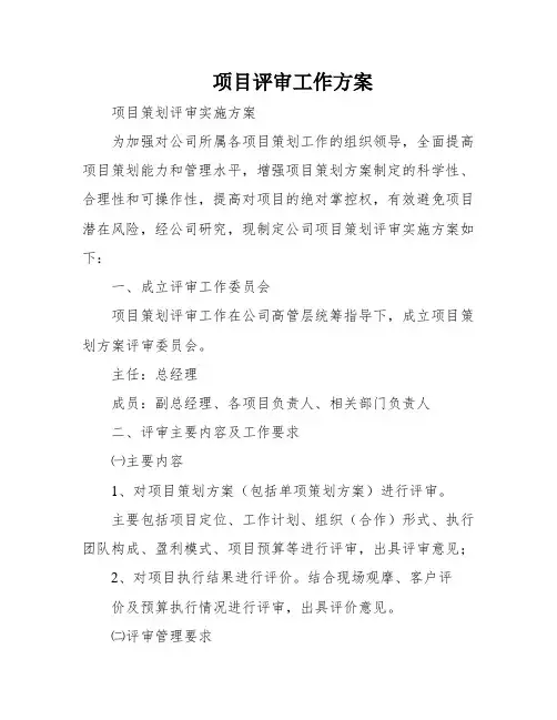 项目评审工作方案