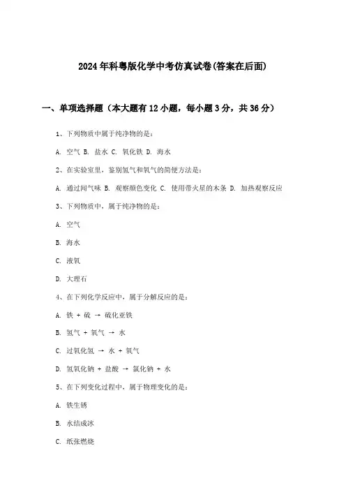 2024年科粤版中考化学试卷及解答参考