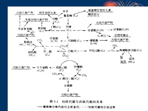 微生物药物的生物合成