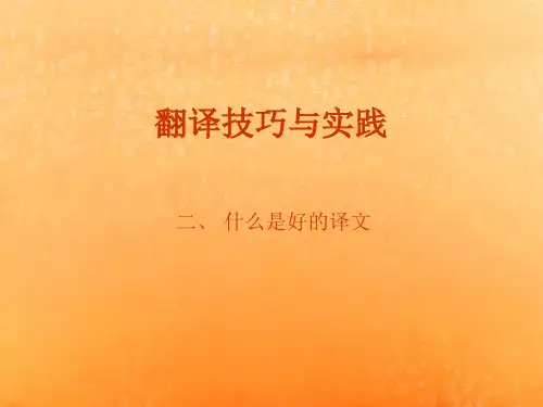 翻译的技巧与实践2