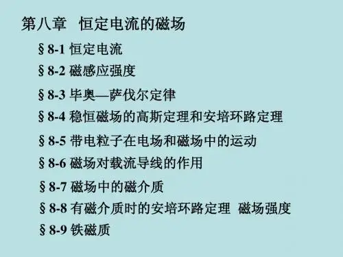 恒定电流的磁场
