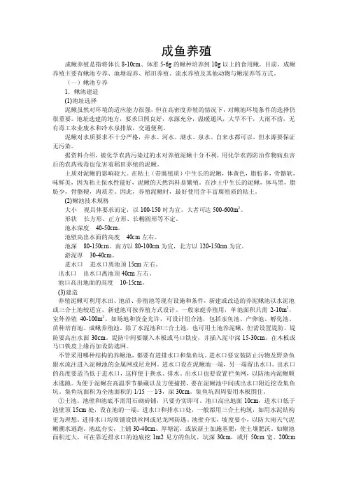 泥鳅成鱼养殖