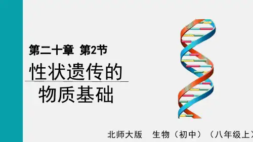 第二节性状遗传的物质基础课件-北师大版生物八年级上册