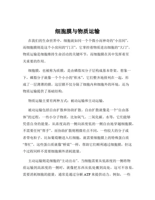 细胞膜与物质运输