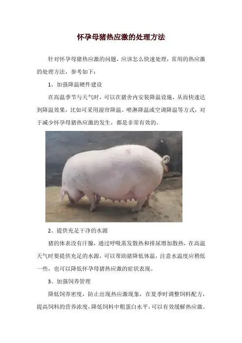 怀孕母猪热应激的处理方法