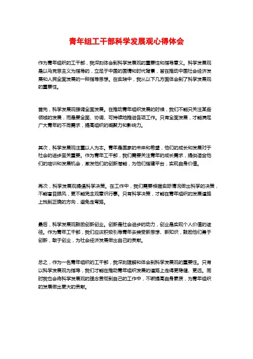 青年组工干部科学发展观心得体会