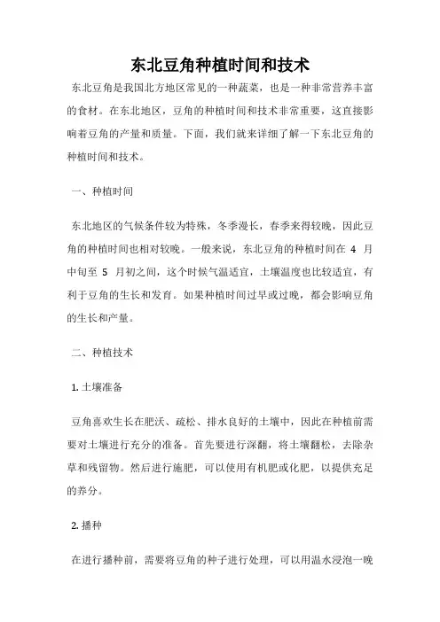 东北豆角种植时间和技术