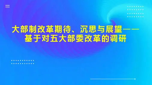 大部制改革期待、沉思与展望基于对五大部委改革的调研