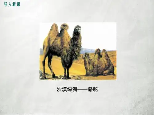 鄂教版九年级年级语文上册