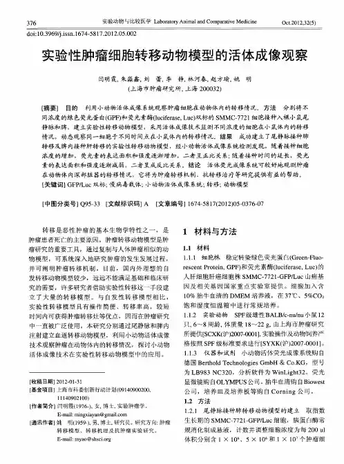 实验性肿瘤细胞转移动物模型的活体成像观察