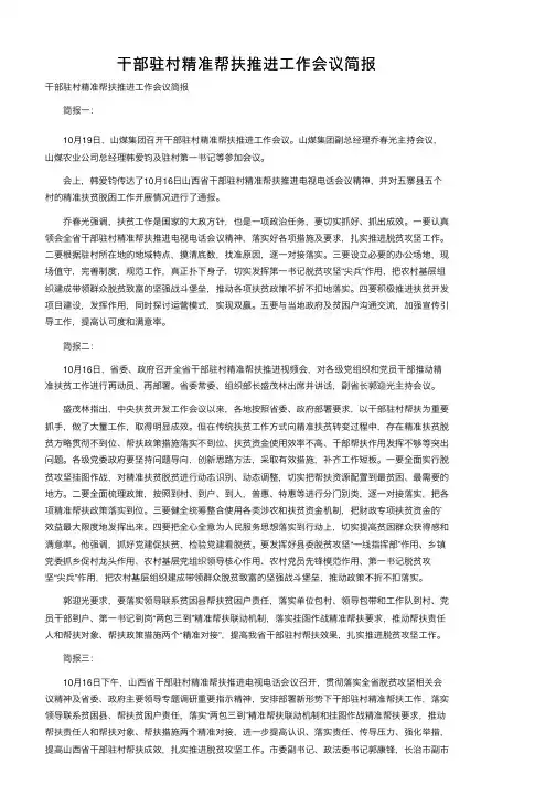 干部驻村精准帮扶推进工作会议简报