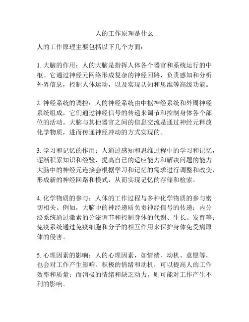 人的工作原理是什么