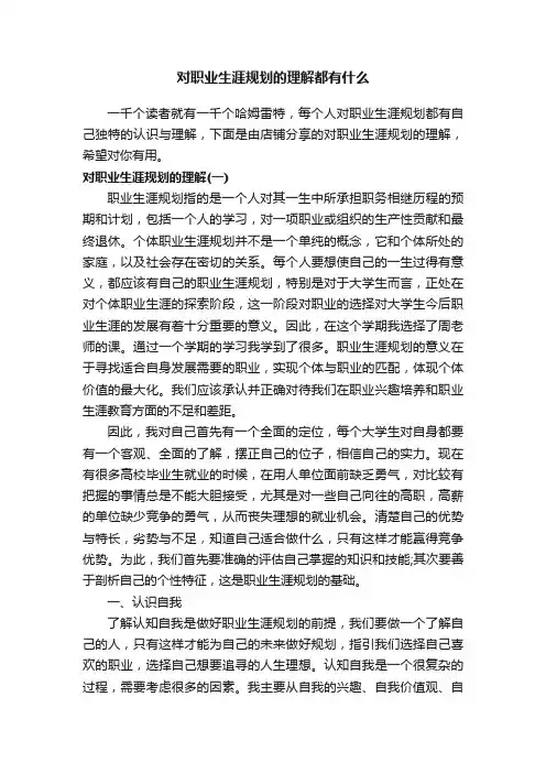 对职业生涯规划的理解都有什么