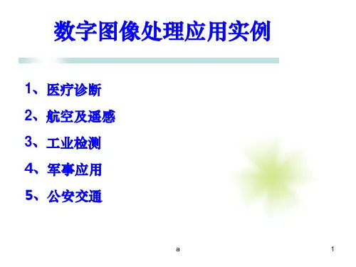 数字图像处理应用实例