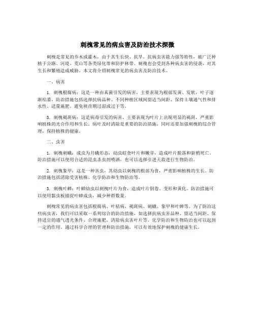 刺槐常见的病虫害及防治技术探微