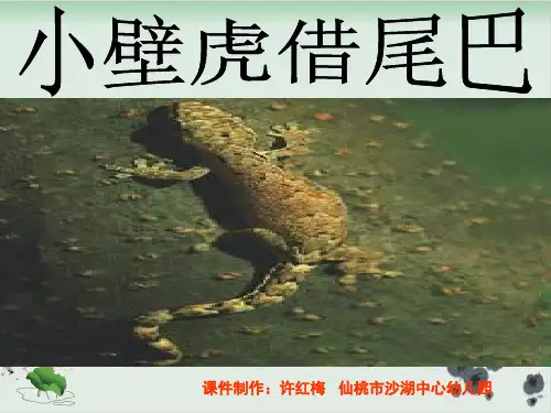 部编版教材《小壁虎借尾巴》实用PPT1