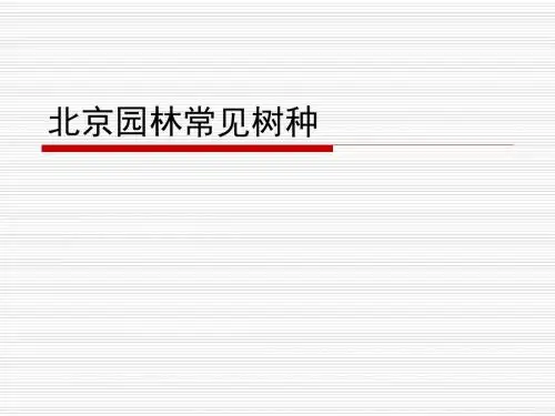 北京市景观设计常见树种