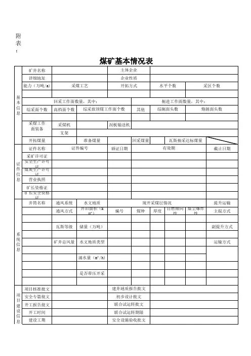 煤矿基本情况表 - 副本