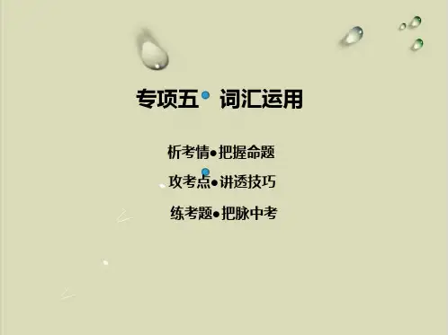 2020中考复习专项五 词汇运用【精选】