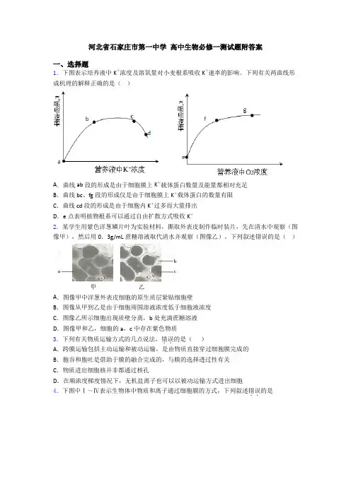 河北省石家庄市第一中学 高中生物必修一测试题附答案