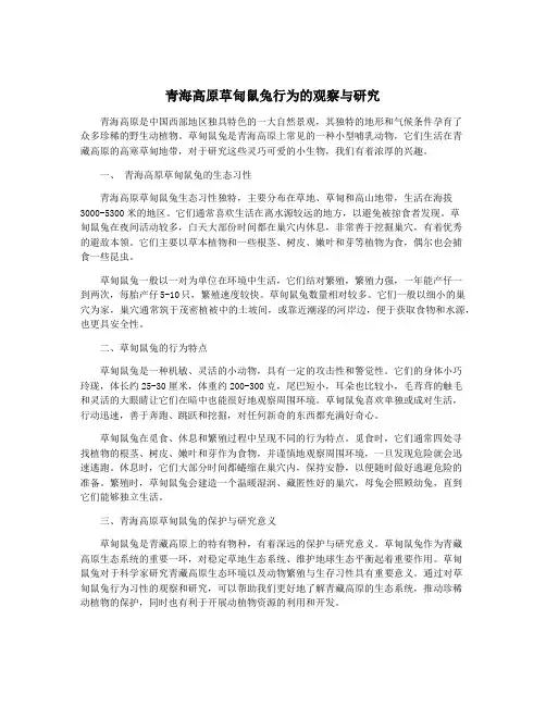 青海高原草甸鼠兔行为的观察与研究