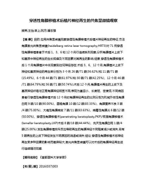 穿透性角膜移植术后植片神经再生的共焦显微镜观察