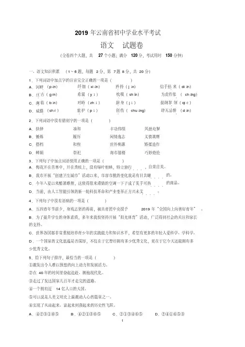 最新2019年云南省中考语文试题及参考答案(word解析版)
