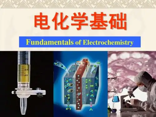 第1章 电解质溶液09-1