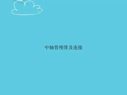 【精选文档】中轴骨颅骨及连接PPT
