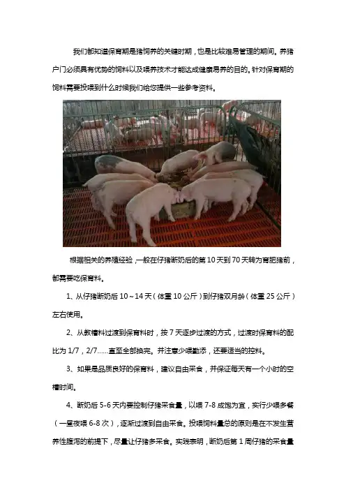 仔猪保育料喂到多大