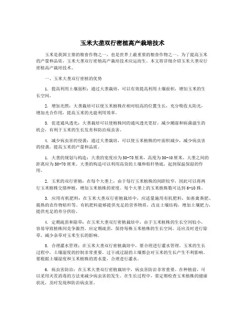 玉米大垄双行密植高产栽培技术
