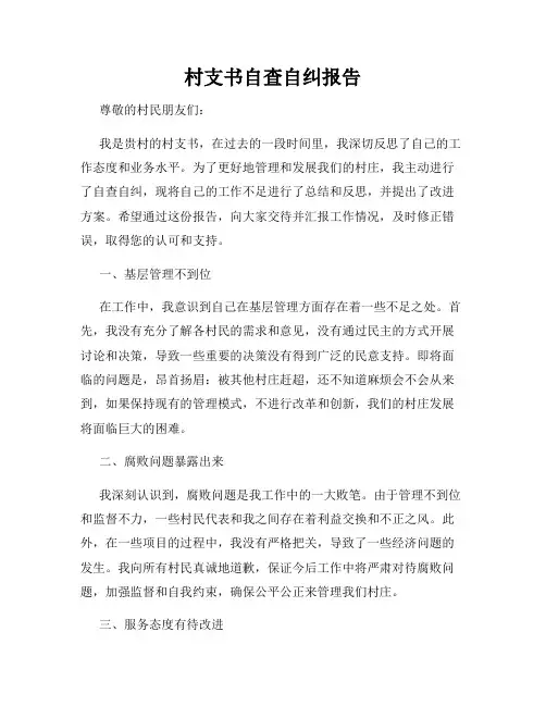 村支书自查自纠报告