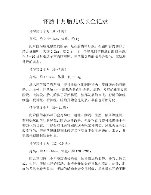 育儿知识-怀胎十月胎儿成长全记录