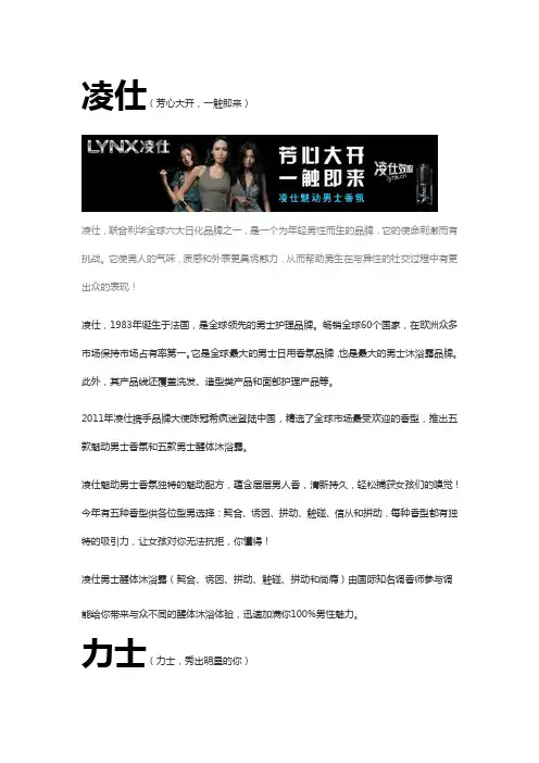 联合利华——个人护理