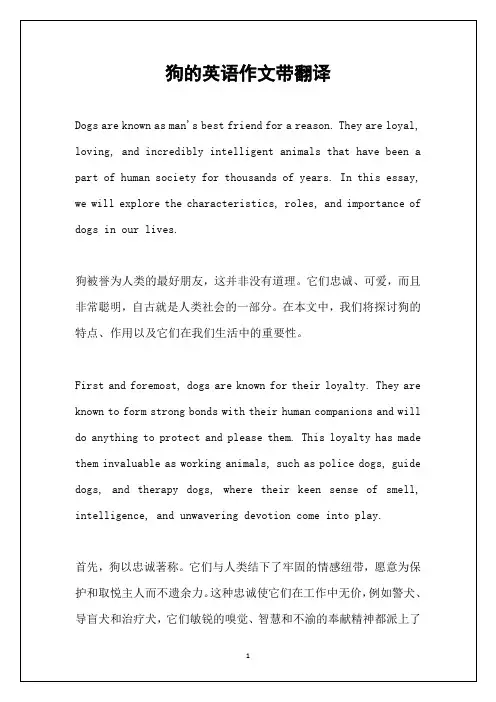 狗的英语作文带翻译