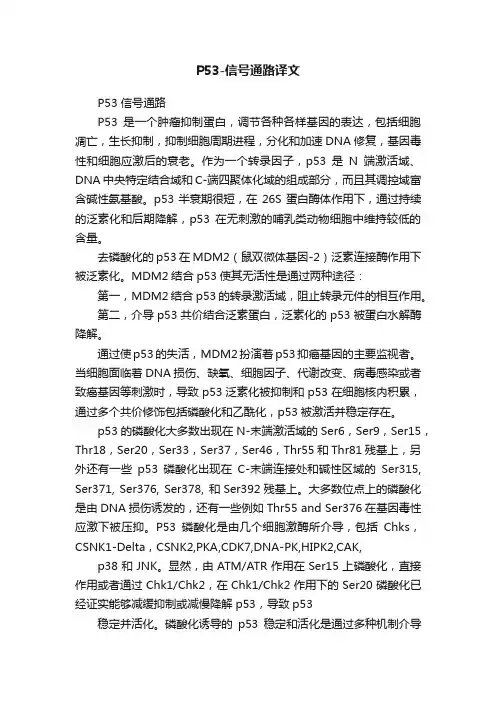 P53-信号通路译文