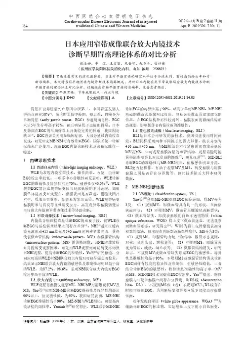 日本应用窄带成像联合放大内镜技术诊断早期胃癌理论体系的对比分析