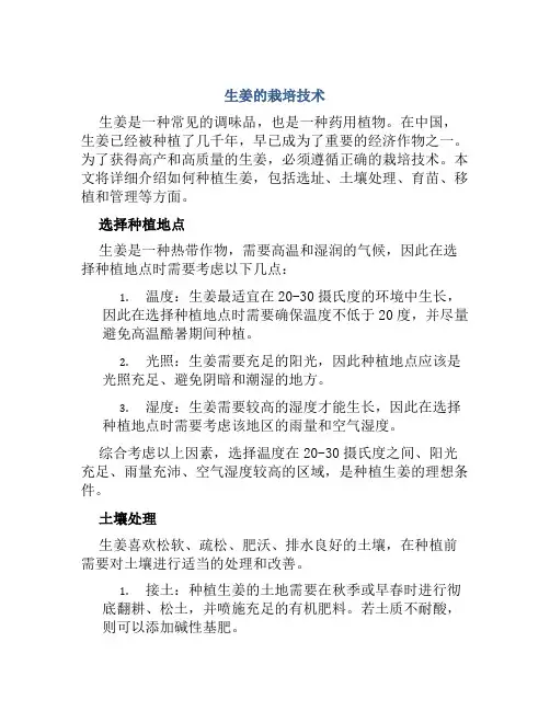 生姜的栽培技术