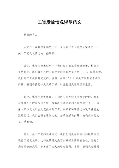 工资发放情况说明范文