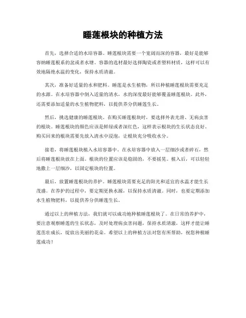 睡莲根块的种植方法